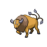 Imagen del pokemon tauros