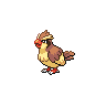 Imagen del pokemon pidgey