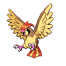 Imagen del pokemon pidgeotto