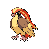 Imagen del pokemon pidgeot