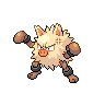 Imagen del pokemon primeape