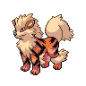 Imagen del pokemon arcanine