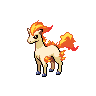 Imagen del pokemon ponyta