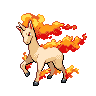 Imagen del pokemon rapidash