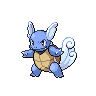 Imagen del pokemon wartortle