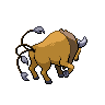 Imagen del pokemon tauros