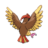 Imagen del pokemon pidgeotto