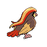 Imagen del pokemon pidgeot