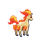 Imagen del pokemon ponyta