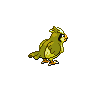 Imagen del pokemon pidgey