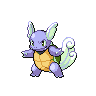 Imagen del pokemon wartortle